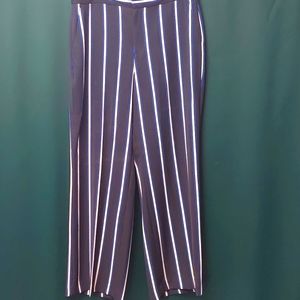 Ann Taylor pant